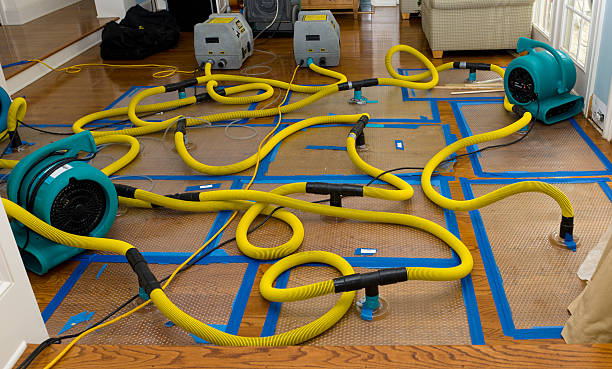 Professional Structural Drying And Dehumidification technician working in Roscommon, MI